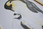 Cadre affiche aquarelle Famille Pingouin image 2