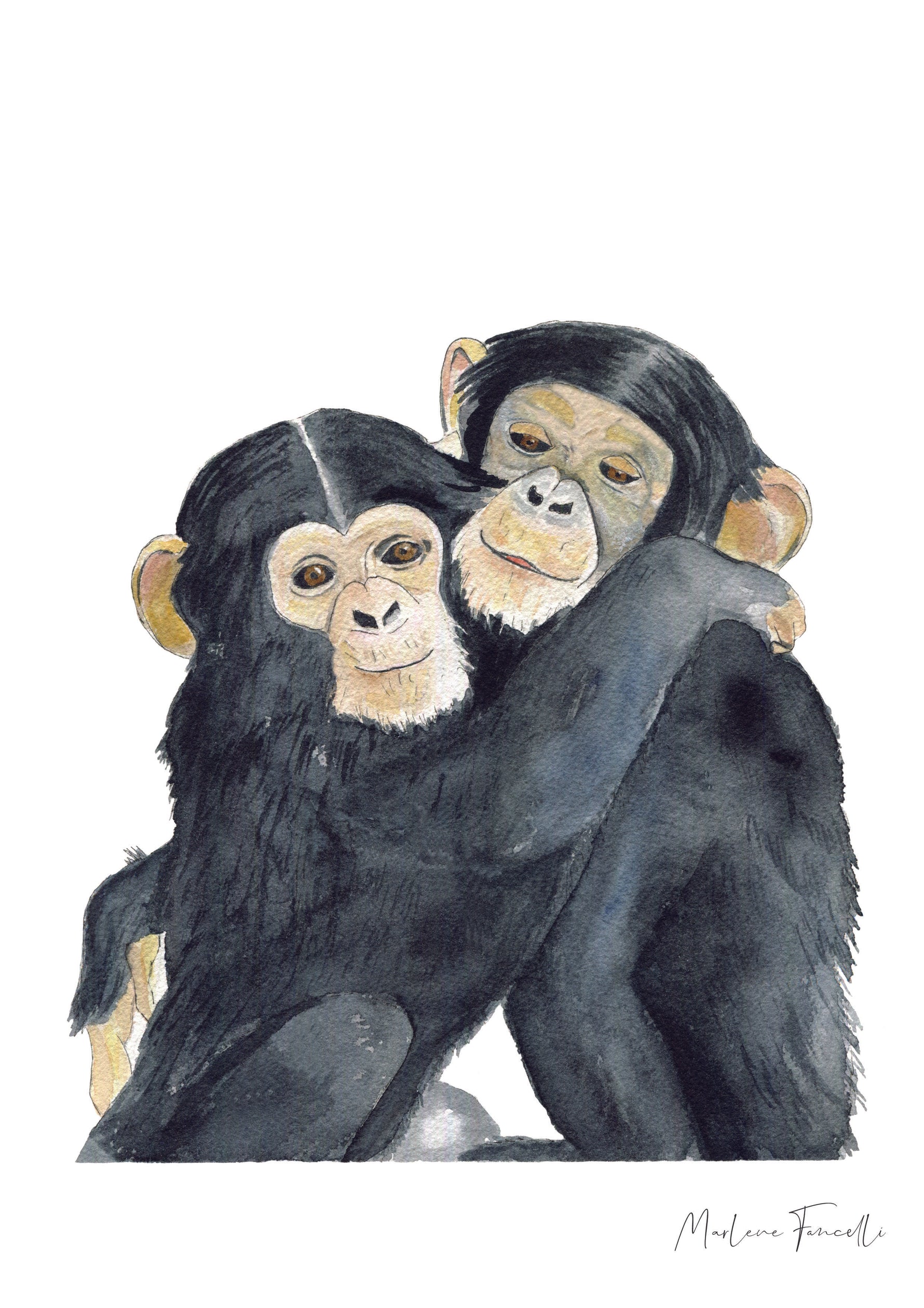 Cadre affiche aquarelle Famille Singe image 4
