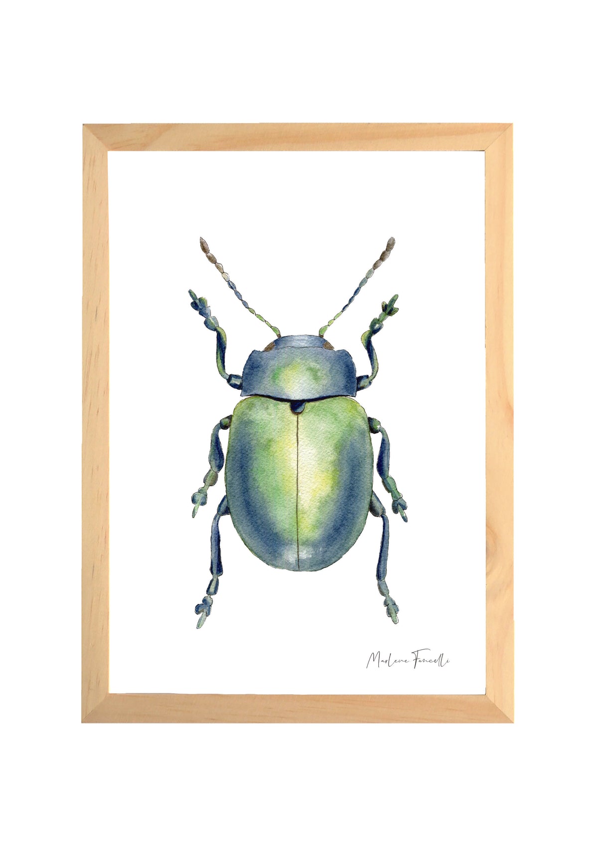Cadre avec affiche aquarelle Scarabée insecte pour décoration chambre