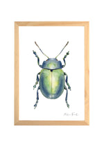 Cadre avec affiche aquarelle Scarabée insecte pour décoration chambre