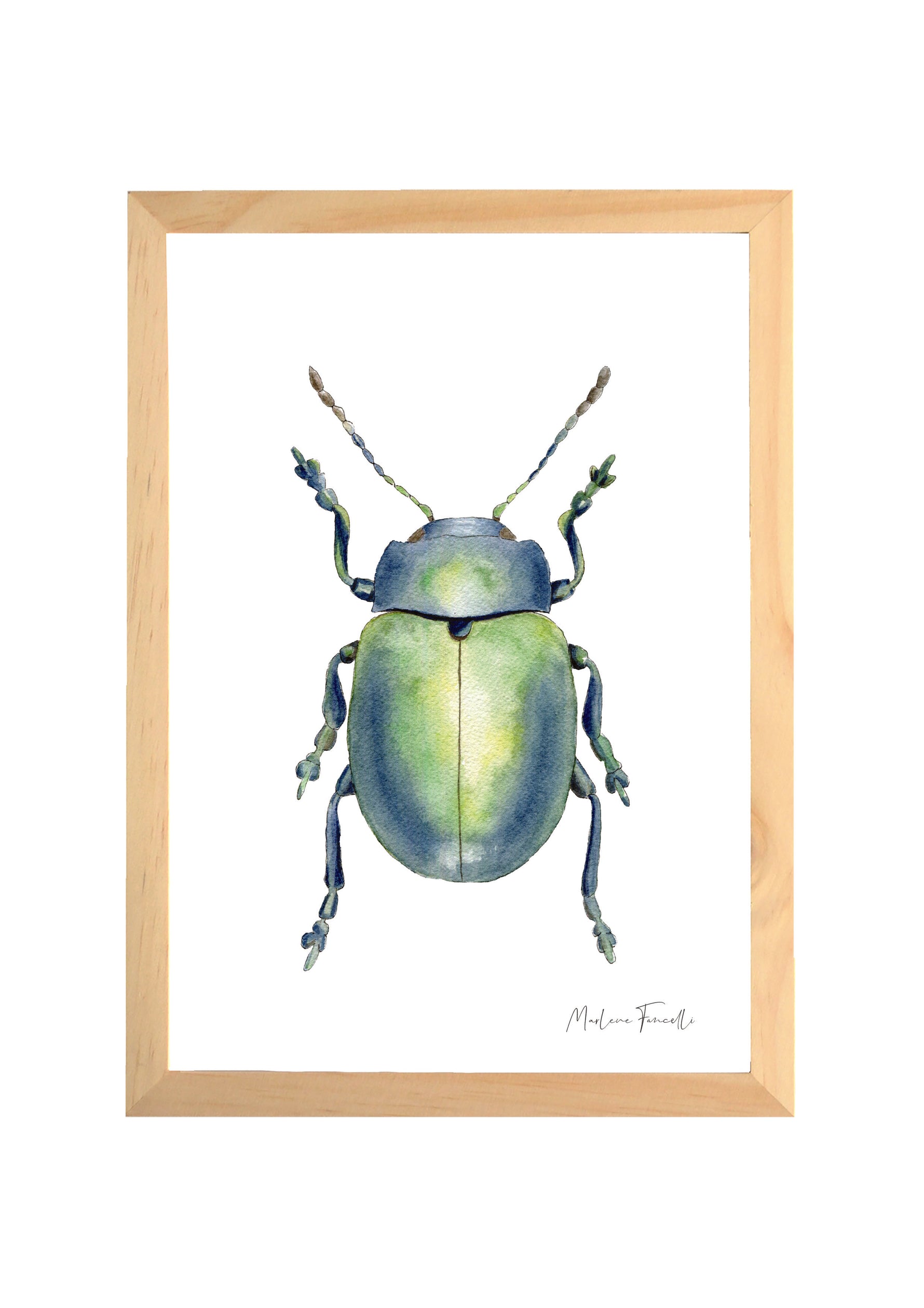 Cadre avec affiche aquarelle Scarabée insecte pour décoration chambre