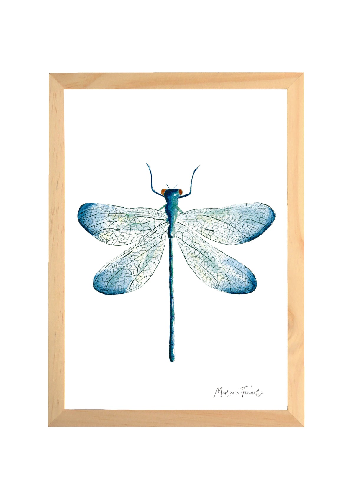 Cadre avec affiche aquarelle Libellule insecte 