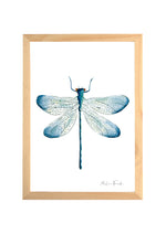 Cadre avec affiche aquarelle Libellule insecte 