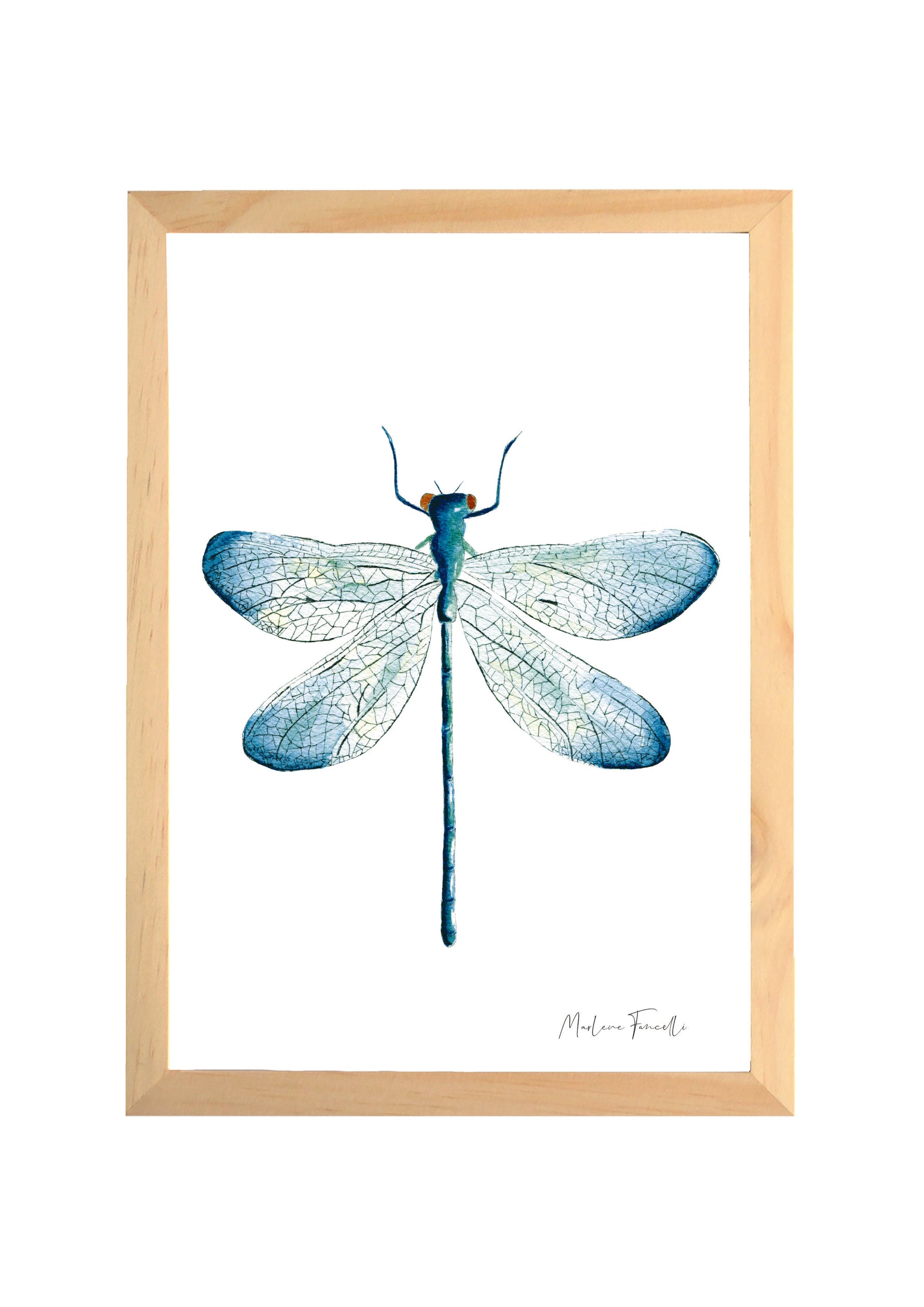 Cadre avec affiche aquarelle Libellule insecte 