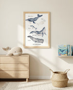 Affiche animaux marins aquarelle représentant différentes baleines dans une décoration murale douce et naturelle.