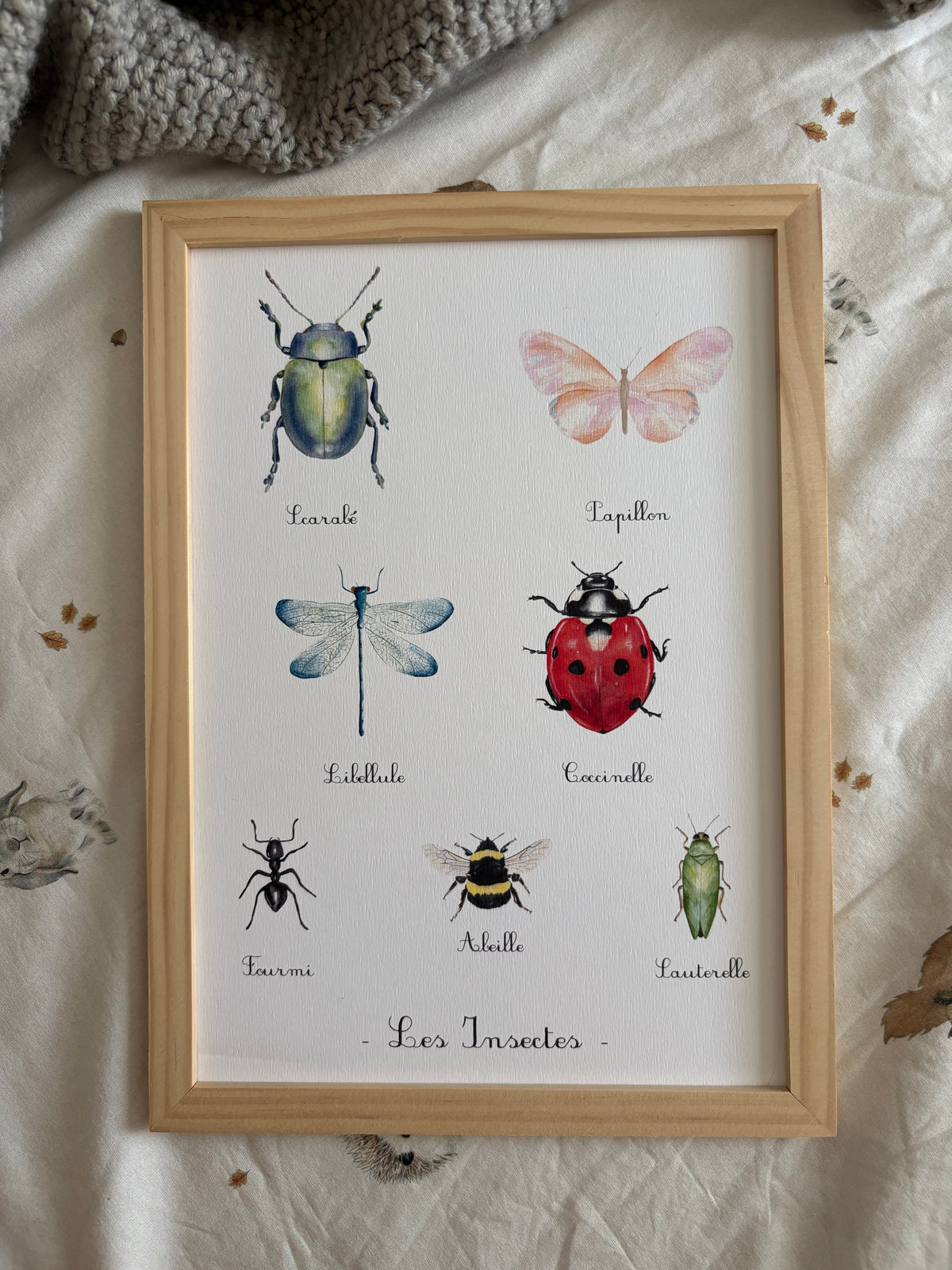 Affiche éducative sur les insectes peinte à l'aquarelle pour éveiller la curiosité des enfants