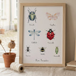Affiche insectes du jardin avec scarabée, coccinelle, abeille et autres insectes illustrés à l'aquarelle