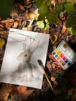 illustration lapin aquarelle décoration murale