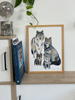 llustration animaux forêt famille loup pour enfant