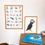Affiche alphabet mer et animaux marins aquarelle imprimée sur papier
