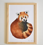 Illustration panda roux à l’aquarelle pour enfant