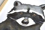 illustration raton laveur aquarelle décoration murale
