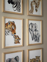 Illustration tigre maman et bébé à l’aquarelle