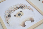 Poster aquarelle d'un hérisson pour une décoration murale sur le thème de la forêt pour une chambre d'enfant.