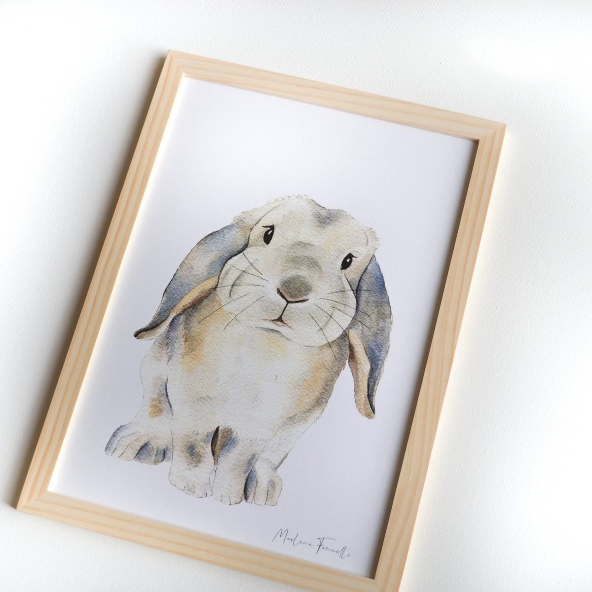 Lapin bélier aux oreilles tombantes illustration aquarelle