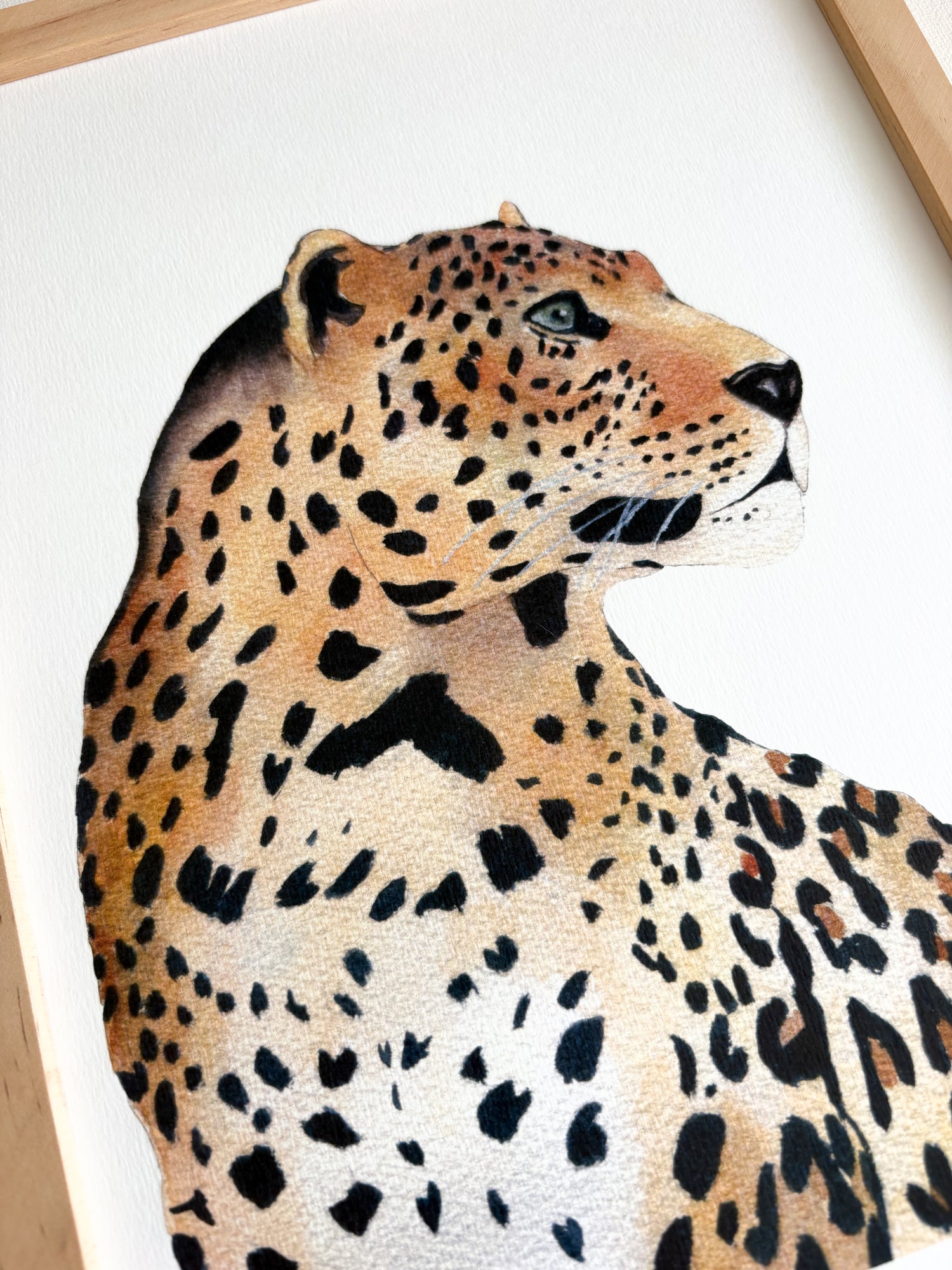 Cadre affiche aquarelle César le Léopard