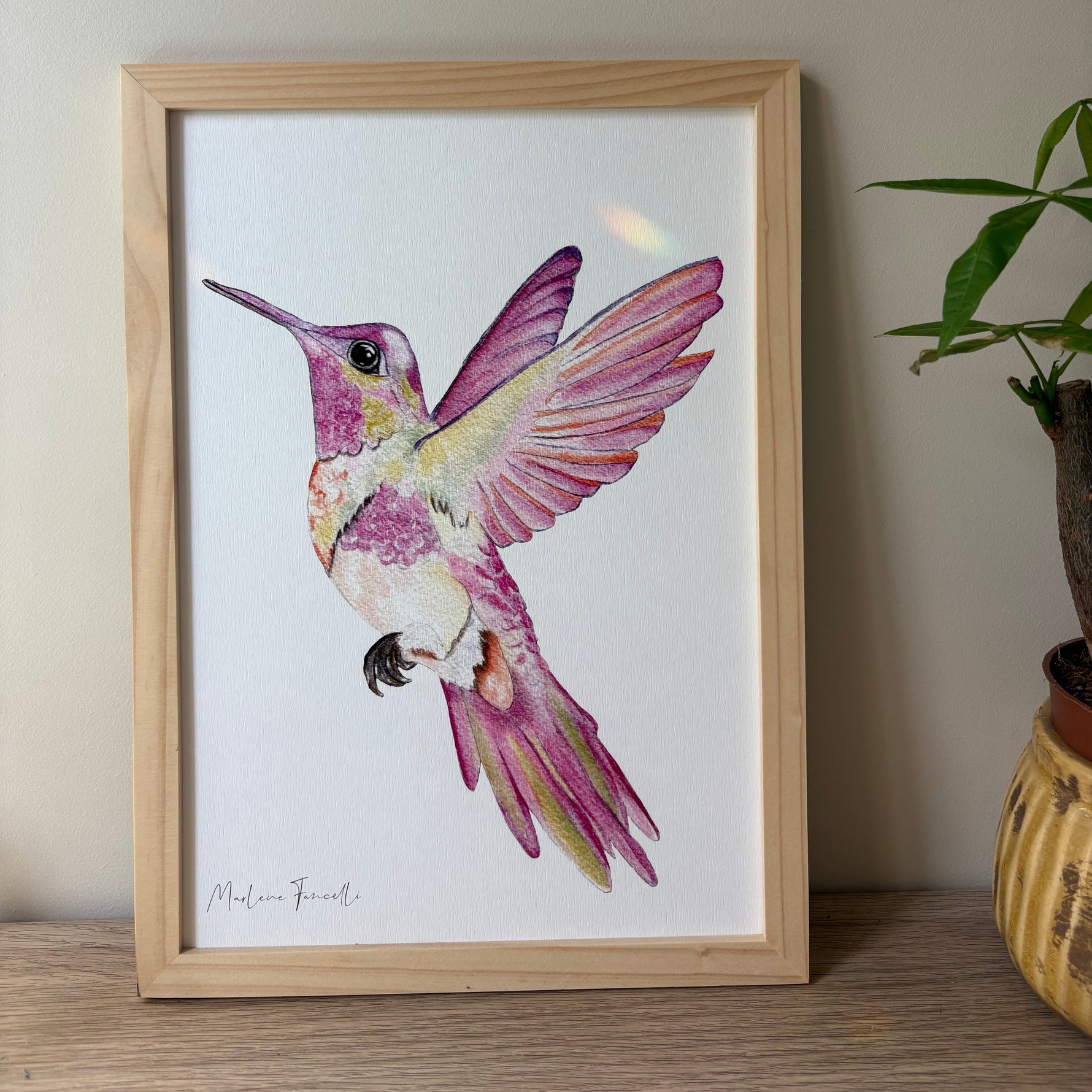 illustration colibri aquarelle chambre bébé