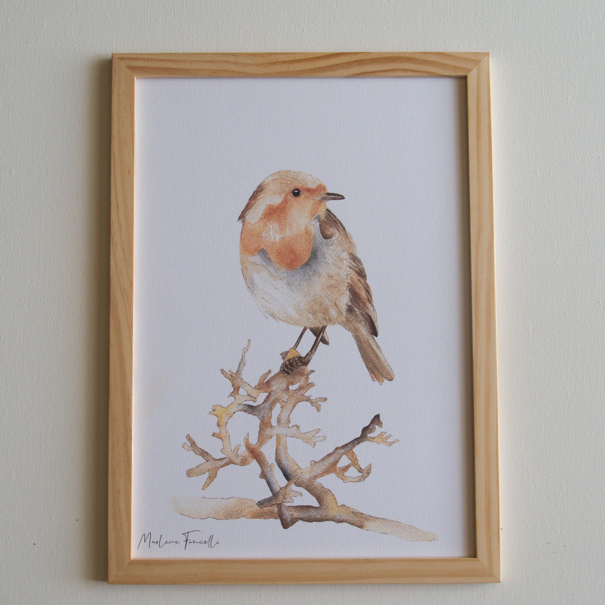 illustration rouge-gorge sur branche aquarelle