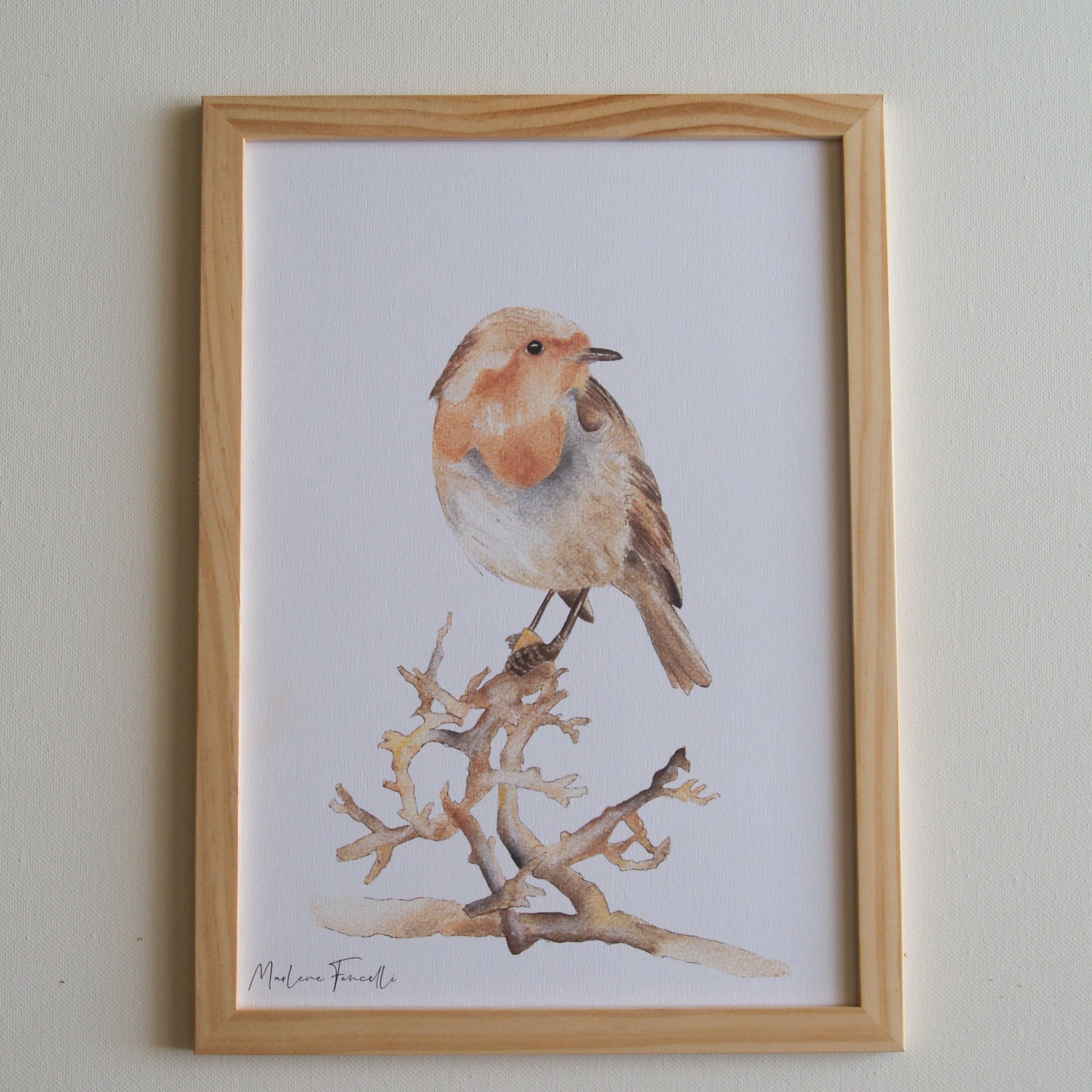 illustration rouge-gorge sur branche aquarelle