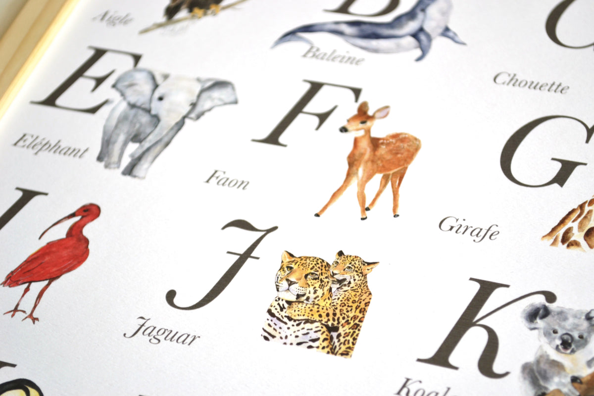 Poster alphabet animaux aquarelle avec lettres illustrées pour apprentissage ludique des enfants