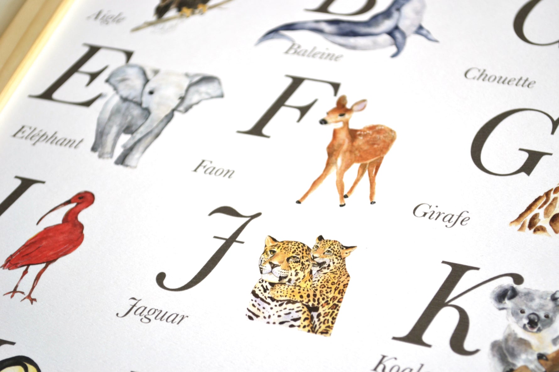 Poster alphabet animaux aquarelle avec lettres illustrées pour apprentissage ludique des enfants