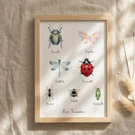 Poster insectes aquarelle pour chambre enfant aux couleurs douces, idéal comme cadeau de naissance