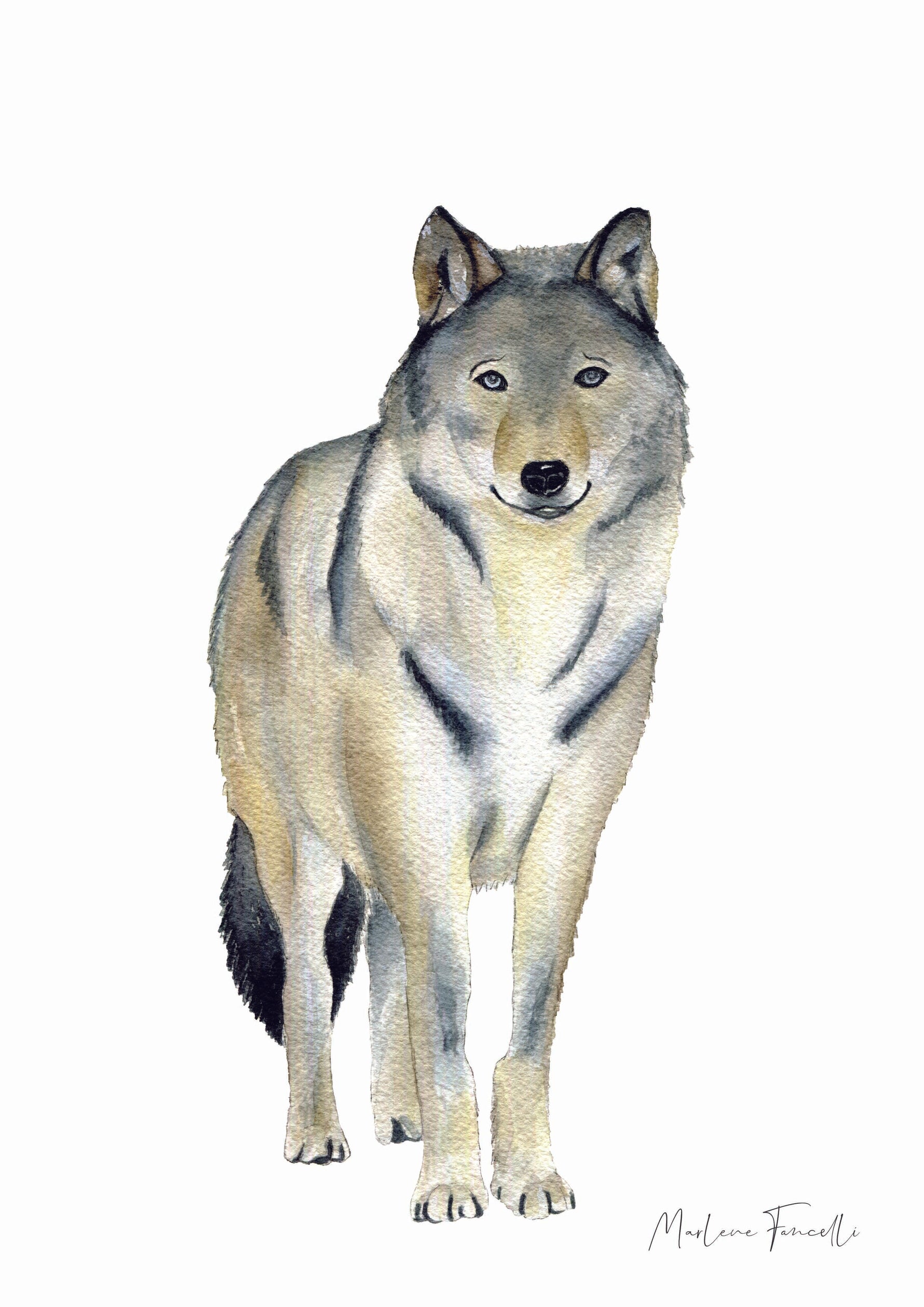 Poster loup aquarelle animaux de la forêt pour enfant