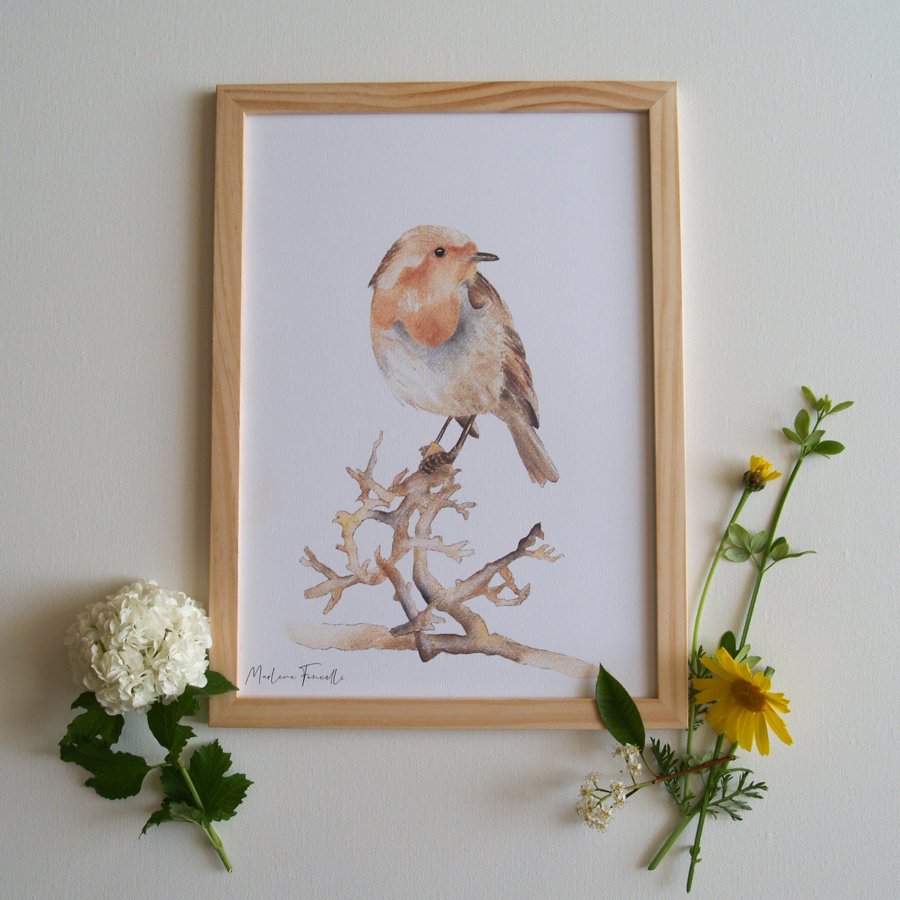 poster rouge-gorge illustration forêt enfant