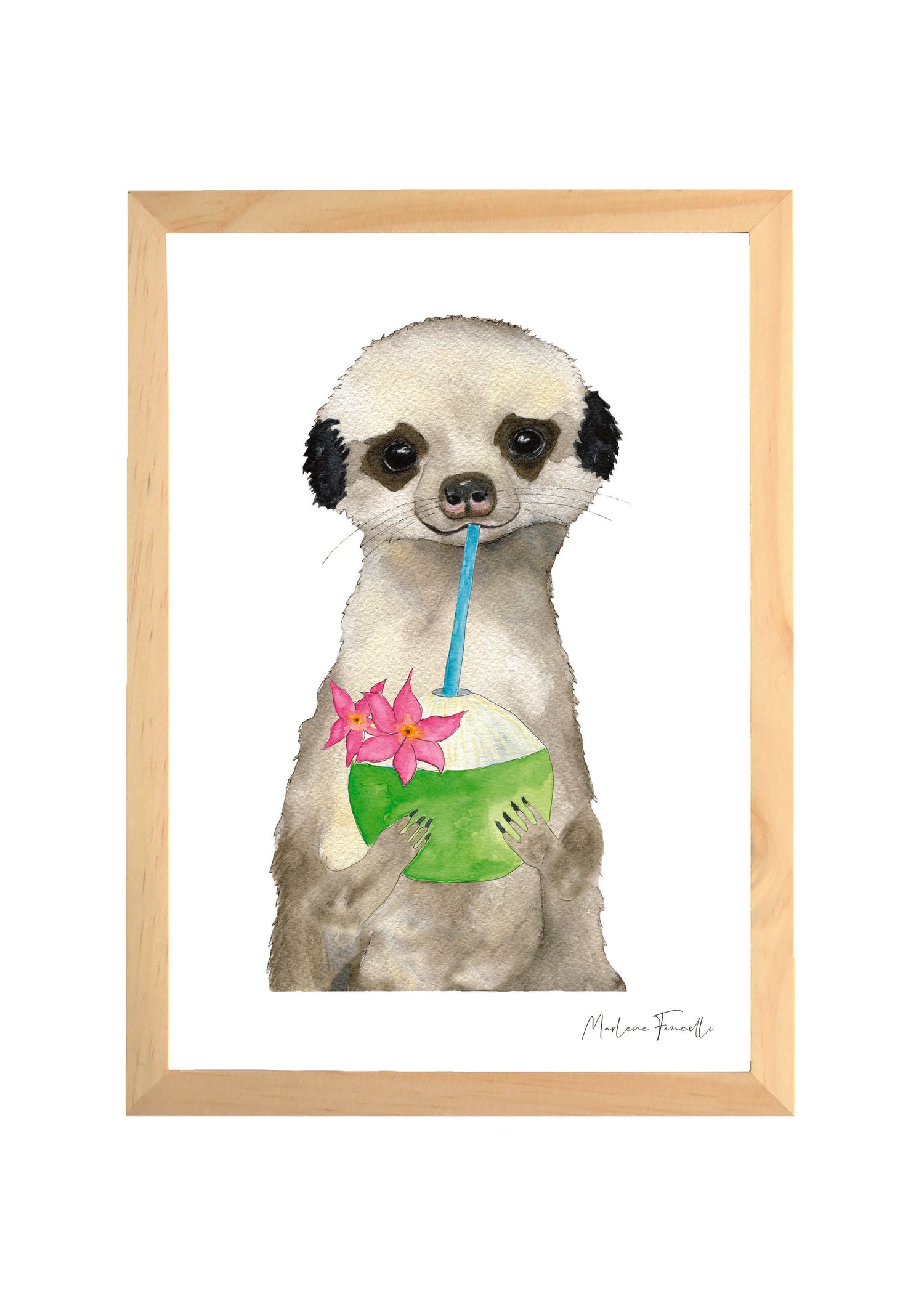 illustration suricate noix de coco aquarelle