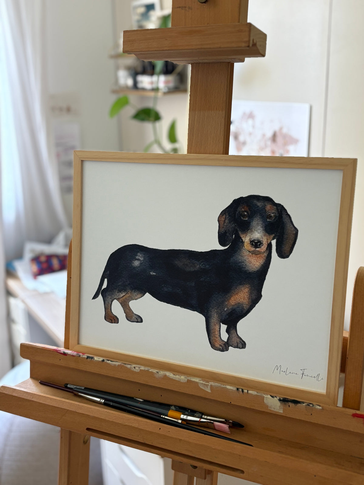 Illustration teckel marron et noir à l'aquarelle, portrait chien expressif et chaleureux