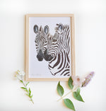 poster zèbres aquarelle décoration chambre enfant
