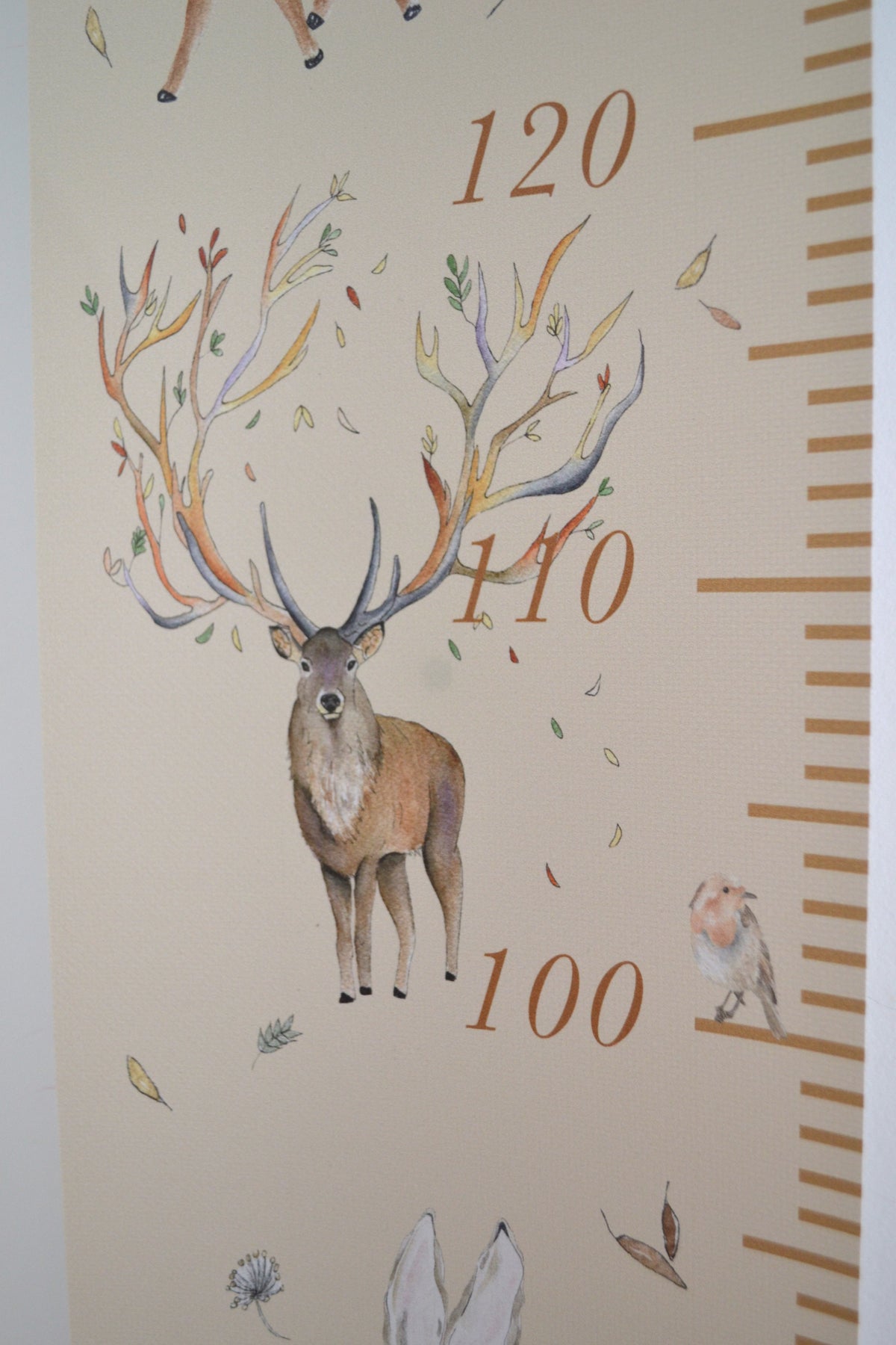 toise bébé animaux forêt avec mesure de taille et décoration murale douce inspirée de la nature